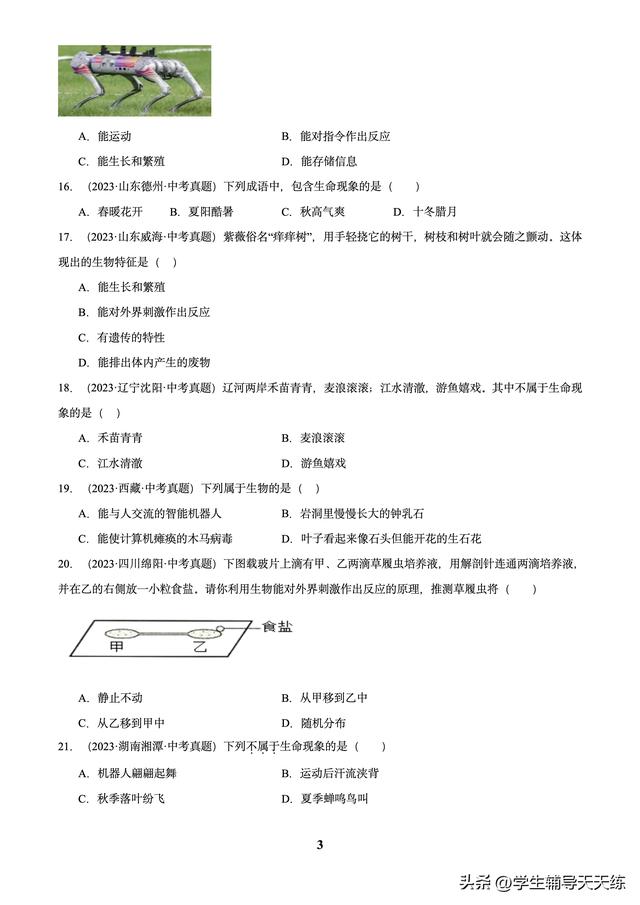 (2022-2024)中考生物真題分類匯編-專題01 走進生命世界