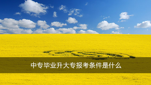 中專畢業(yè)升大專報考條件是什么