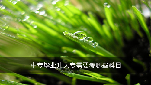 中專畢業(yè)升大專需要考哪些科目