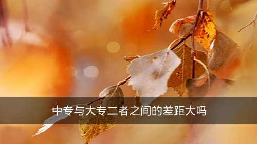 中專與大專二者之間的差距大嗎