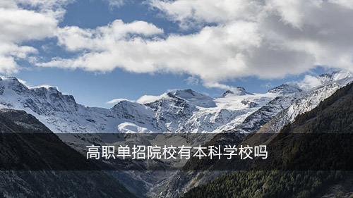 高職單招院校有本科學校嗎