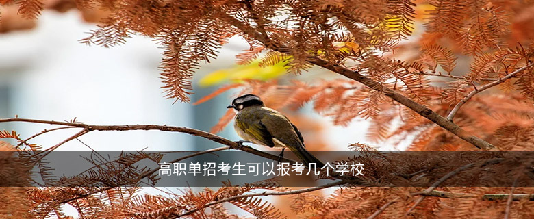 高職單招考生可以報考幾個學校