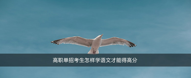 高職單招考生怎樣學語文才能得高分
