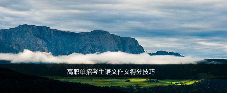 高職單招考生語文作文得分技巧