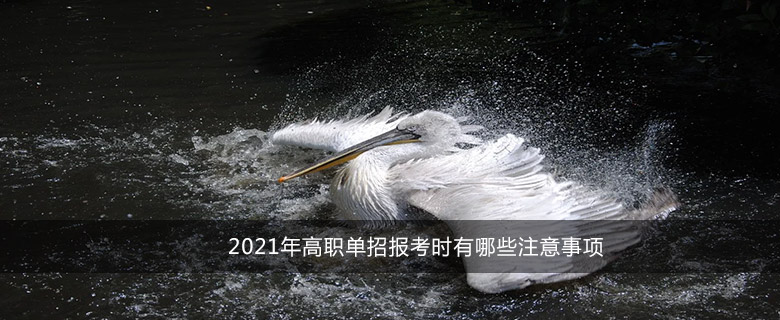 2021年高職單招報(bào)考時(shí)有哪些注意事項(xiàng)