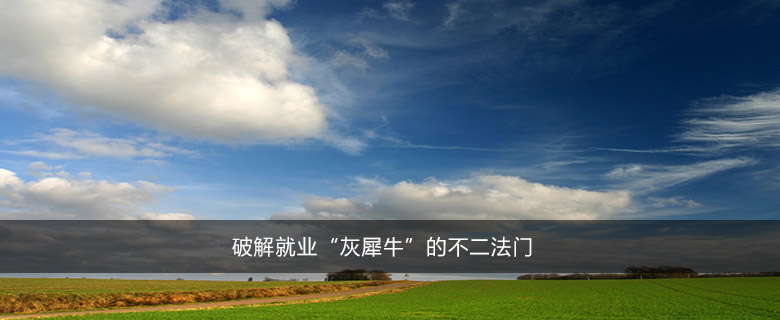 破解就業(yè)“灰犀牛”的不二法門(mén)