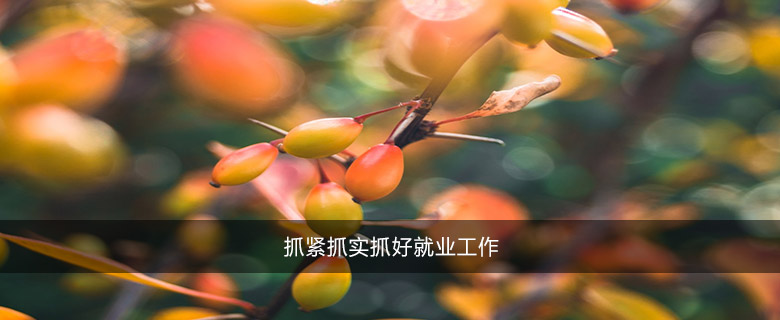 抓緊抓實(shí)抓好就業(yè)工作