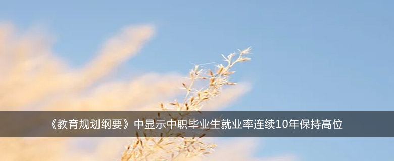 《教育規(guī)劃綱要》中顯示中職畢業(yè)生就業(yè)率連續(xù)10年保持高位