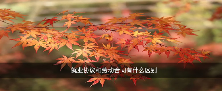 就業(yè)協(xié)議和勞動(dòng)合同有什么區(qū)別
