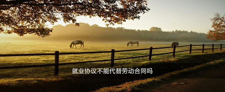 就業(yè)協(xié)議不能代替勞動(dòng)合同嗎