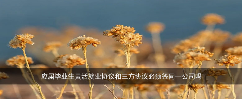應(yīng)屆畢業(yè)生靈活就業(yè)協(xié)議和三方協(xié)議必須簽同一公司嗎