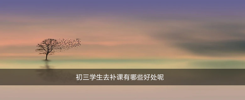 初三學(xué)生去補課有哪些好處呢