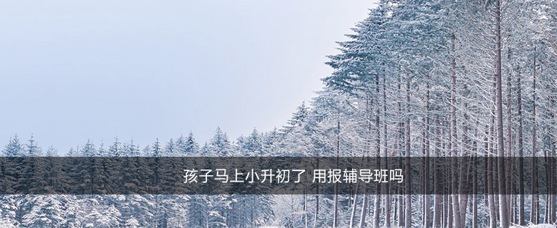 孩子馬上小升初了 用報輔導班嗎