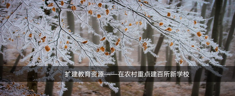 擴(kuò)建教育資源——在農(nóng)村重點(diǎn)建百所新學(xué)校