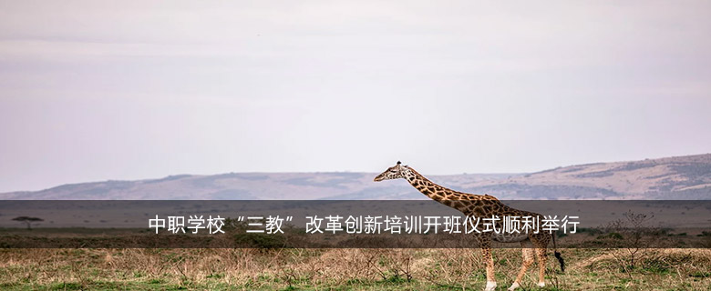 中職學(xué)?！叭獭备母飫?chuàng)新培訓(xùn)開(kāi)班儀式順利舉行