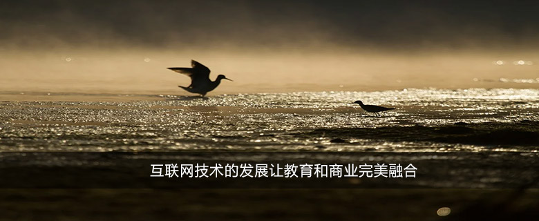 互聯(lián)網(wǎng)技術(shù)的發(fā)展讓教育和商業(yè)完美融合