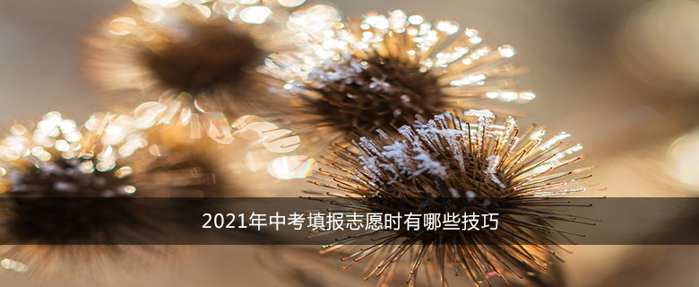 2021年中考填報(bào)志愿時(shí)有哪些技巧