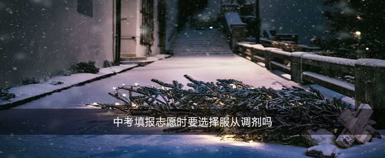 中考填報(bào)志愿時(shí)要選擇服從調(diào)劑嗎