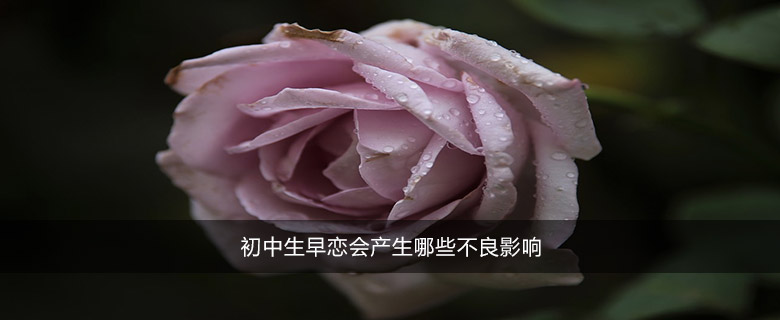 初中生早戀會(huì)產(chǎn)生哪些不良影響