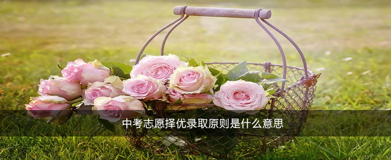中考志愿擇優(yōu)錄取原則是什么意思