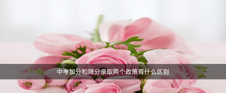 中考加分和降分錄取兩個(gè)政策有什么區(qū)別
