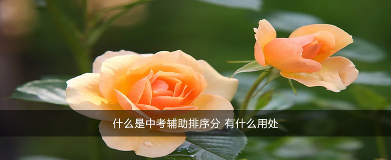 什么是中考輔助排序分 有什么用處