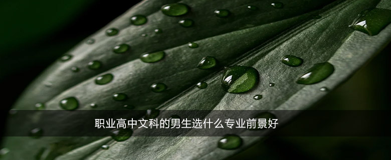 職業(yè)高中文科的男生選什么專業(yè)前景好
