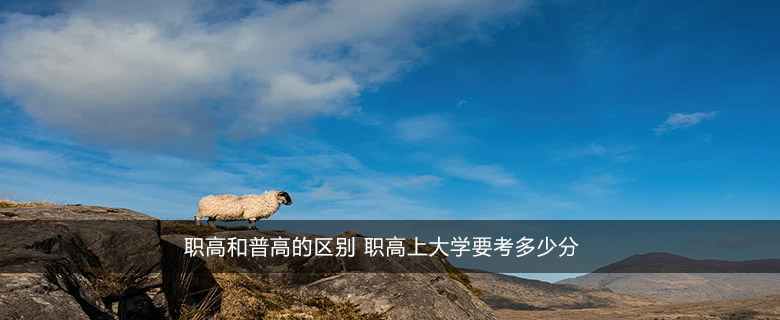 職高和普高的區(qū)別 職高上大學(xué)要考多少分