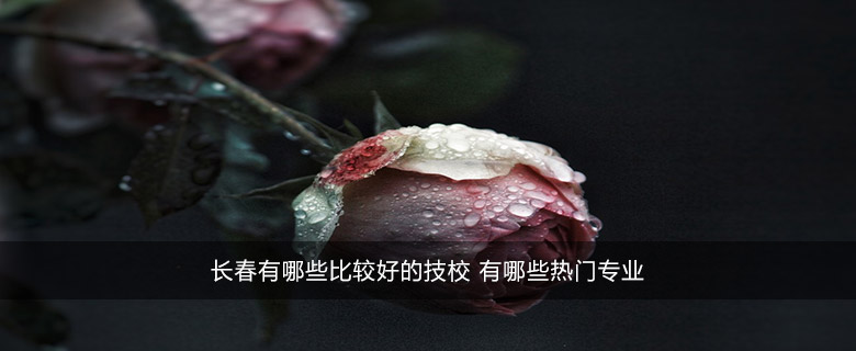 長春有哪些比較好的技校 有哪些熱門專業(yè)