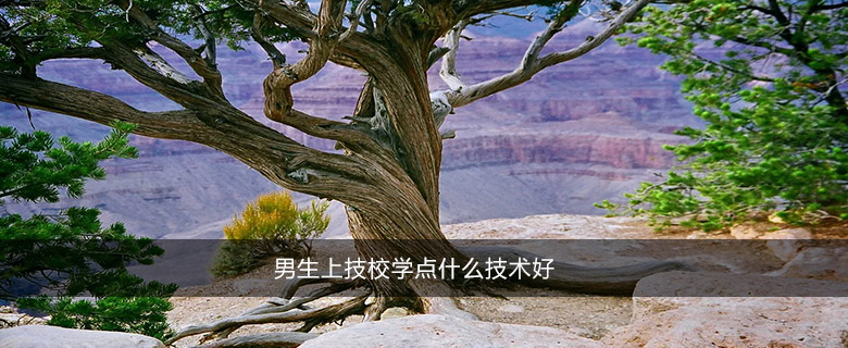 男生上技校學(xué)點(diǎn)什么技術(shù)好