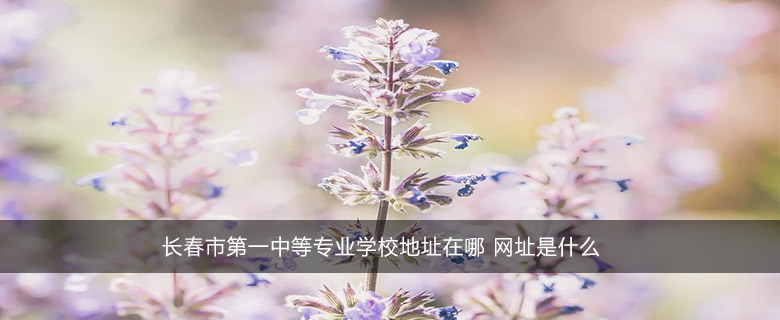 長春市第一中等專業(yè)學校地址在哪 網址是什么