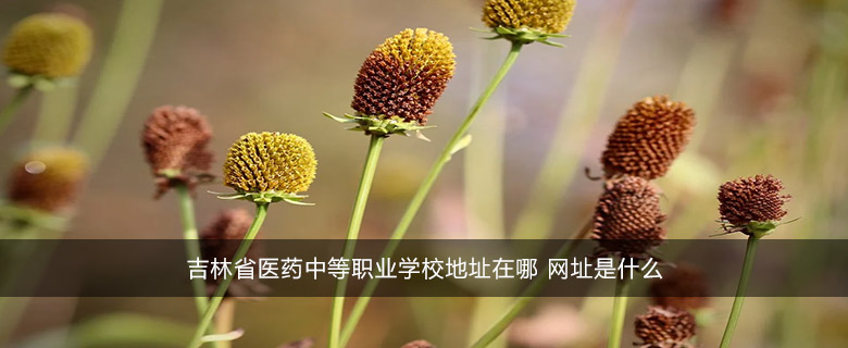 吉林省醫(yī)藥中等職業(yè)學校地址在哪 網址是什么