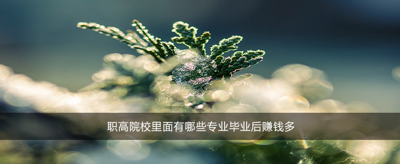 職高院校里面有哪些專業(yè)畢業(yè)后賺錢多