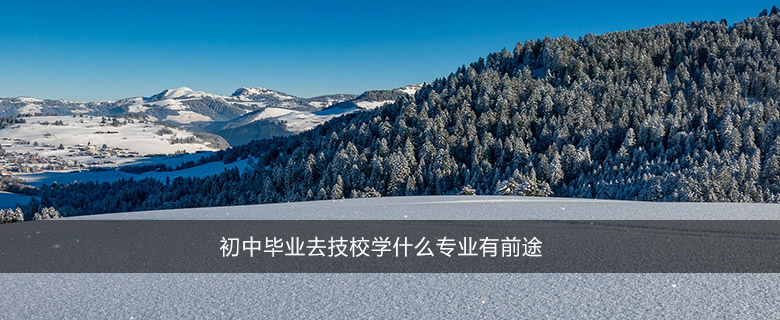 初中畢業(yè)去技校學(xué)什么專業(yè)有前途