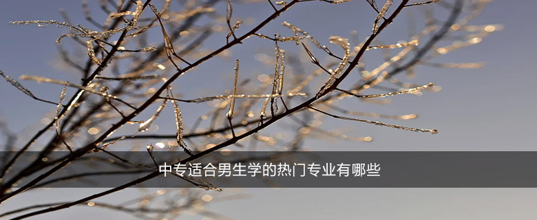 中專(zhuān)適合男生學(xué)的熱門(mén)專(zhuān)業(yè)有哪些