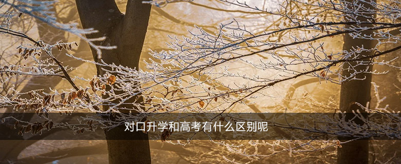 對口升學(xué)和高考有什么區(qū)別呢