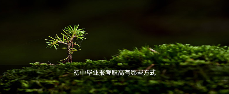 初中畢業(yè)報考職高有哪些方式