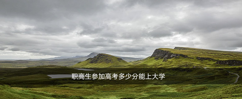 職高生參加高考多少分能上大學(xué)