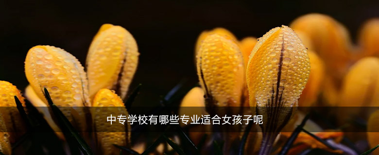 中專學(xué)校有哪些專業(yè)適合女孩子呢