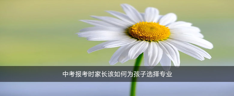 中考報(bào)考時(shí)家長(zhǎng)該如何為孩子選擇專業(yè)