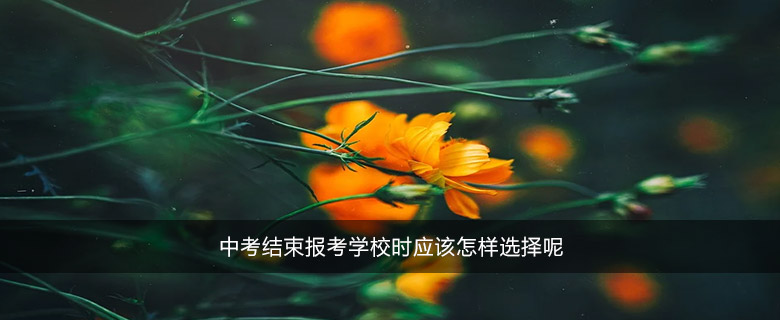 中考結(jié)束報(bào)考學(xué)校時(shí)應(yīng)該怎樣選擇呢