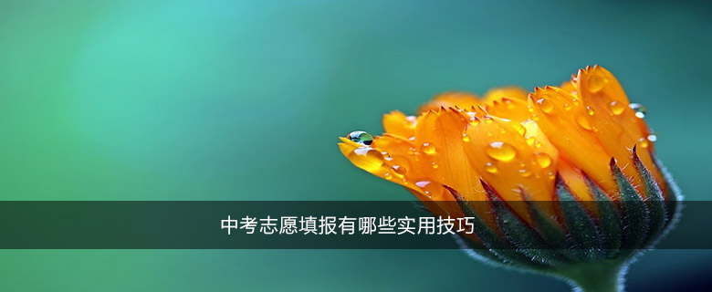 中考志愿填報(bào)有哪些實(shí)用技巧