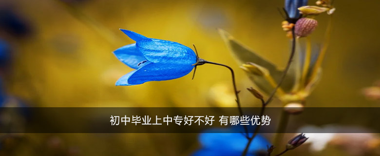 初中畢業(yè)上中專好不好 有哪些優(yōu)勢 