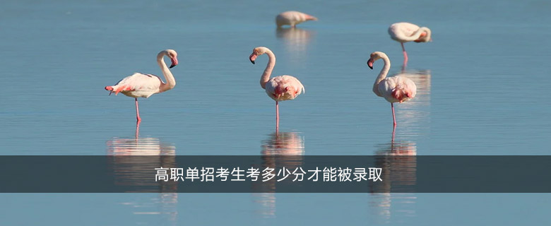 高職單招考生考多少分才能被錄取